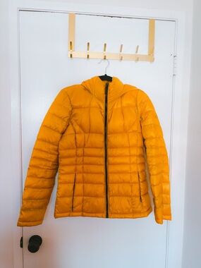 calvin klein premium down blend puffer jacket 🍯💛